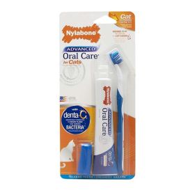 NYL DNTL AOC CAT KIT