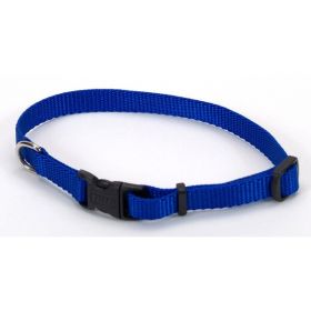 Coastal Adjustable Nylon Dog Collar with Plastic Buckle Blue 3/8 in x 8-12 in